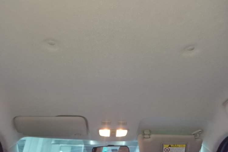 Used ORA White Cat 2020 360 km Luxury Version Headliner