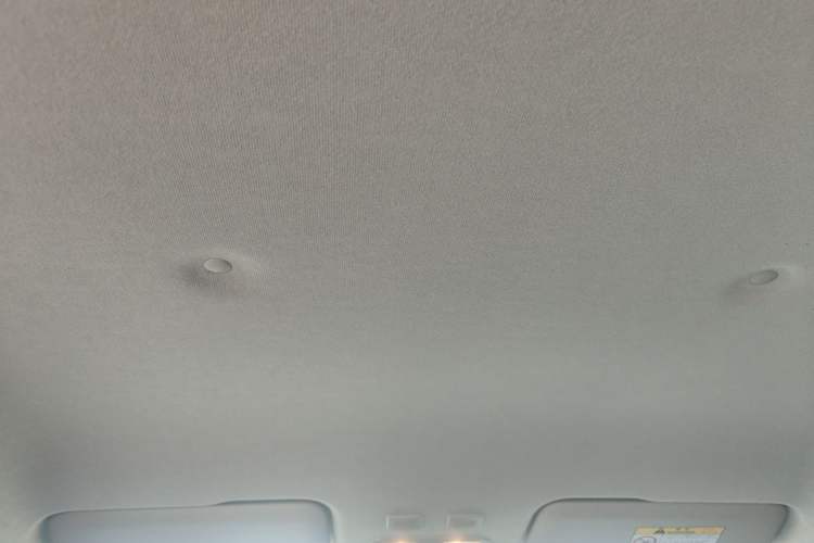 Used ORA White Cat 2020 401 km Flagship Version Headliner
