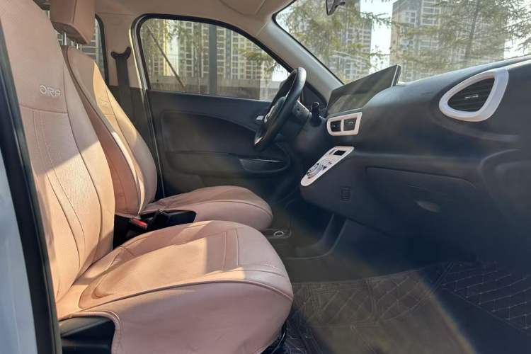 Used ORA White Cat 2020 305 km Luxury Version Interior 3