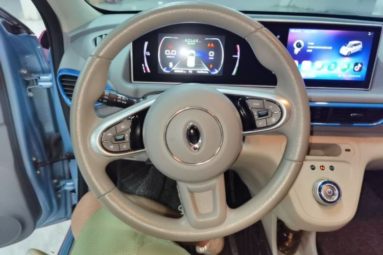 Used ORA White Cat 2020 360 km Luxury Version Steering Wheel
