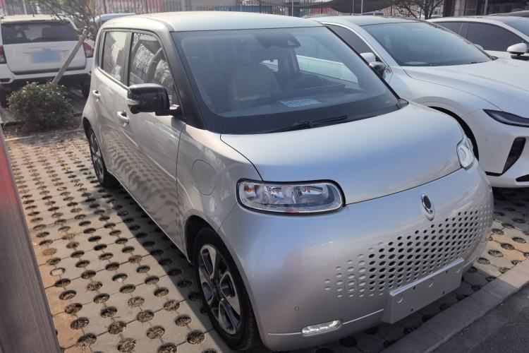 Used ORA White Cat 2020 401 km Flagship Version Exterior 2