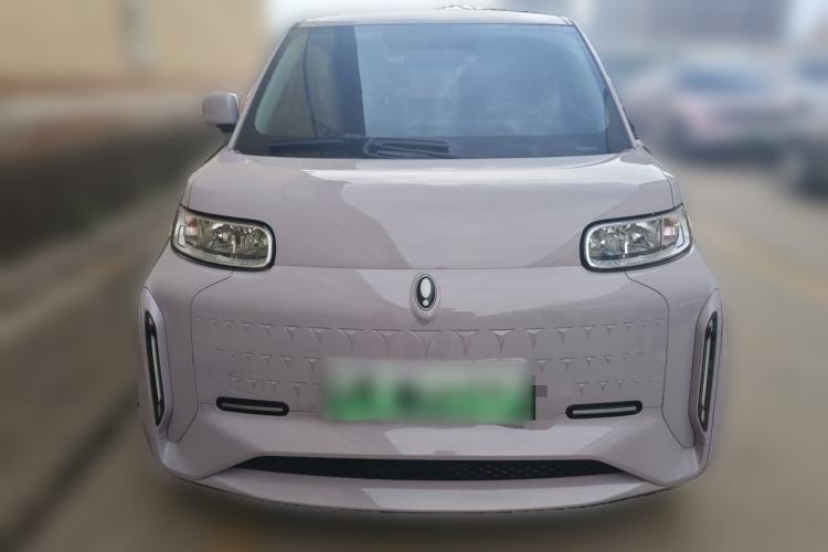 Used ORA White Cat 2020 360 km Luxury Version Front