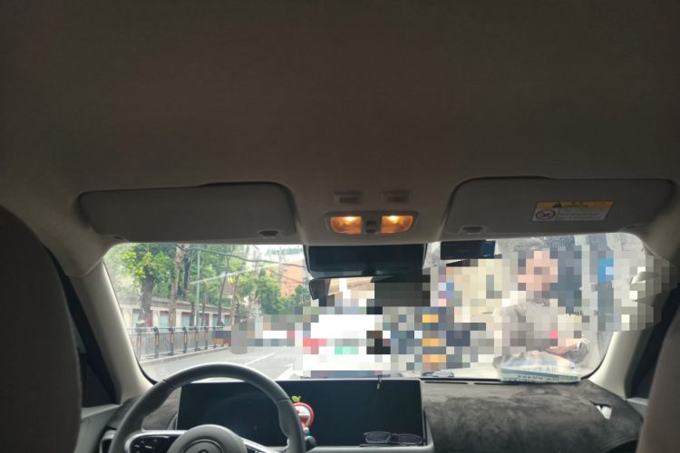 Used ORA White Cat 2020 401 km Flagship Version Headliner