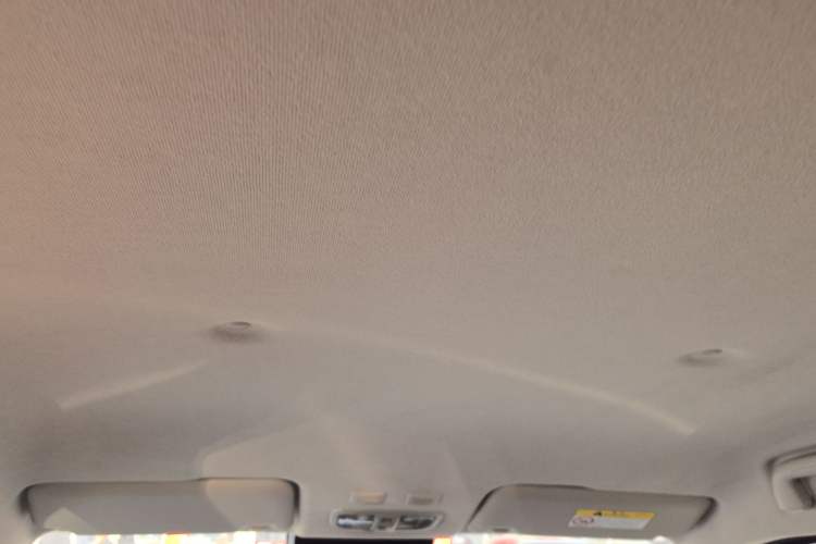 Used ORA White Cat 2020 401 km Flagship Version Headliner