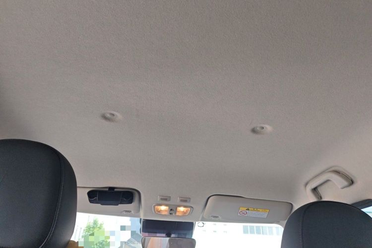 Used ORA White Cat 2020 401 km Flagship Version Headliner