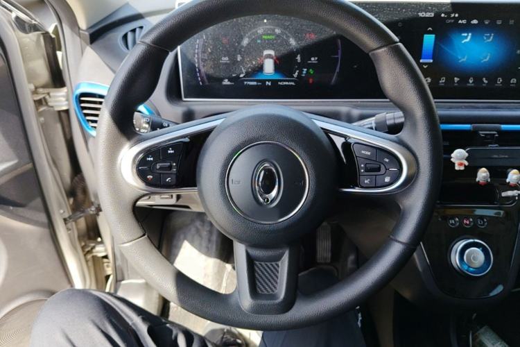 Used ORA White Cat 2020 401 km Flagship Version Steering Wheel