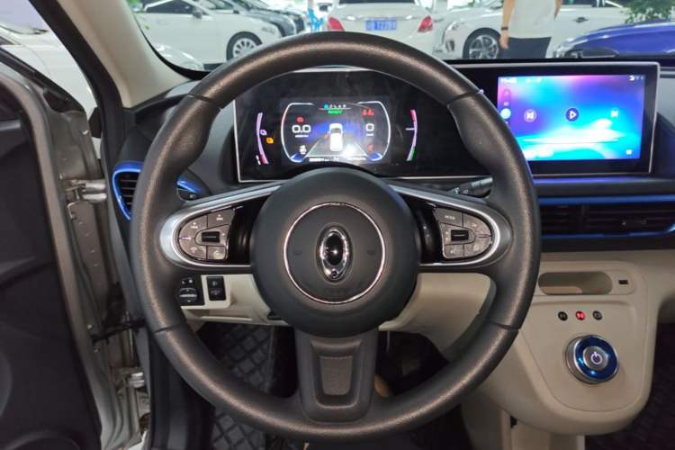Used ORA White Cat 2020 305 km Luxury Version Steering Wheel