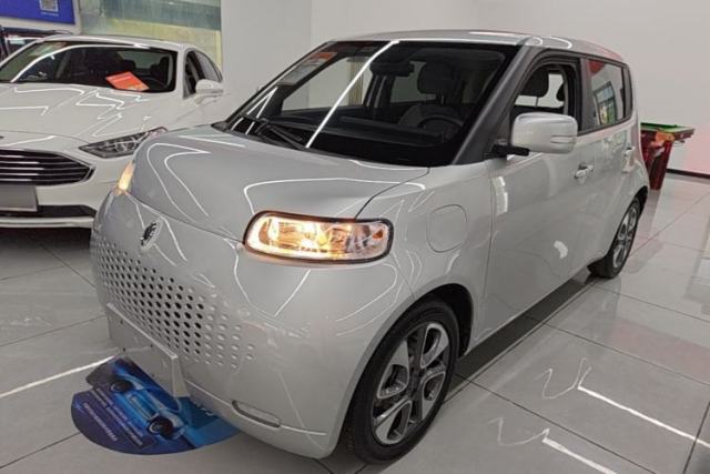 Used ORA White Cat 2020 305 km Luxury Version