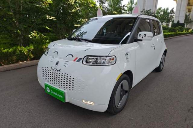 Used ORA White Cat 2020 360 km Luxury Version