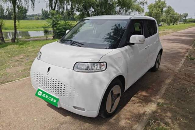 Used ORA White Cat 2020 360 km Luxury Version