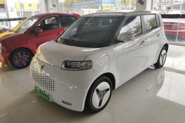 Used ORA White Cat 2020 360 km Luxury Version