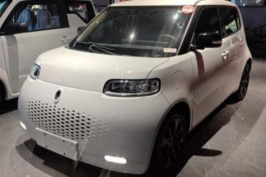 Used ORA White Cat 2020 305 km Luxury Version