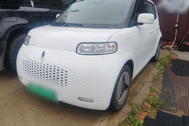 Used ORA White Cat 2020 360km Standard Version