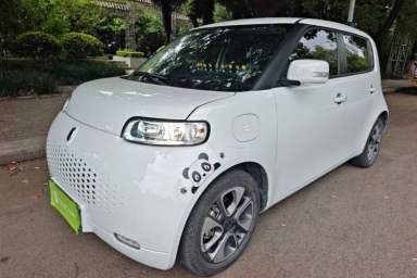 Used ORA White Cat 2020 305 km Luxury Version