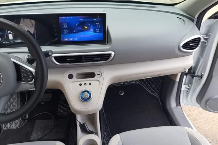 Used ORA White Cat 2020 360 km Luxury Version Audio And AC Panel