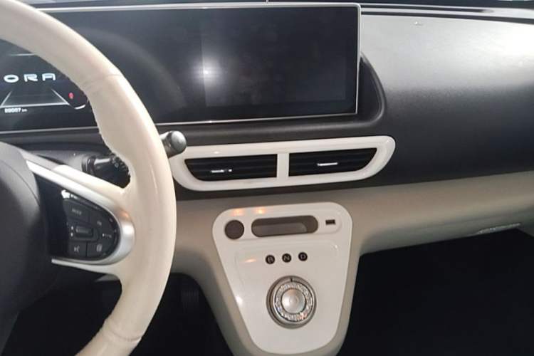 Used ORA White Cat 2020 305 km Luxury Version Audio And AC Panel