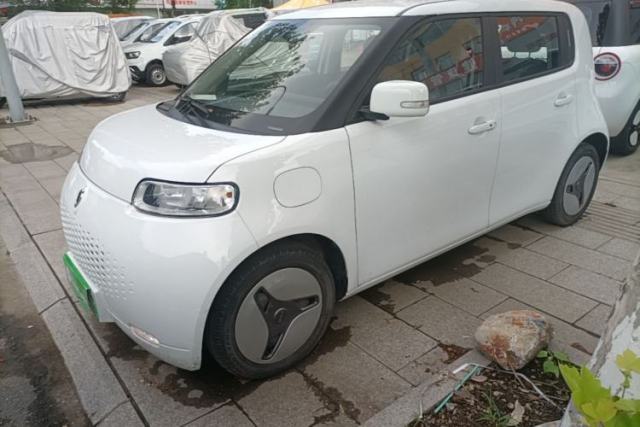 Used ORA White Cat 2020 360 km Luxury Version
