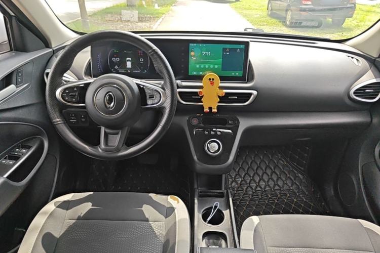 Used ORA White Cat 2020 360 km Luxury Version Center Console