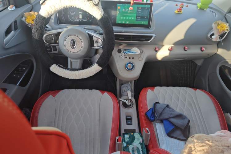 Used ORA White Cat 2020 305 km Luxury Version Center Console