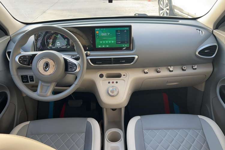Used ORA White Cat 2020 401 km Flagship Version Center Console