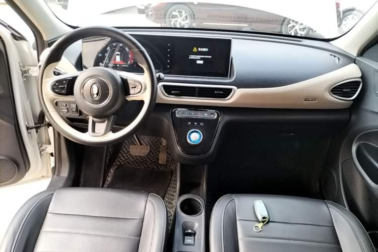 Used ORA White Cat 2020 305 km Luxury Version Center Console