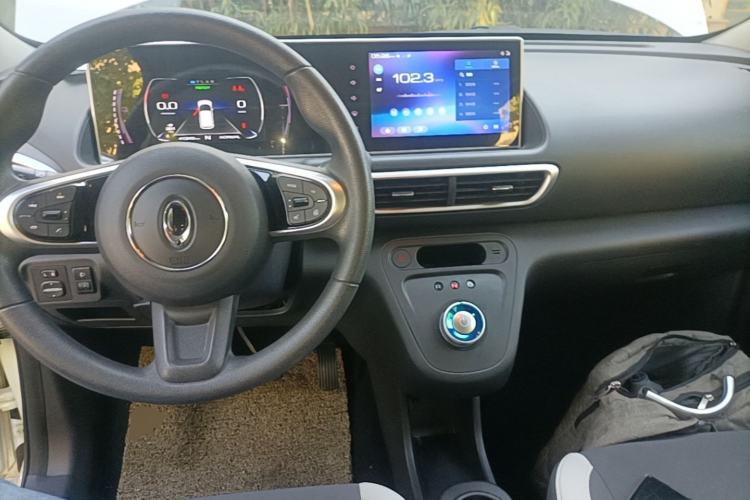 Used ORA White Cat 2020 360 km Luxury Version Center Console