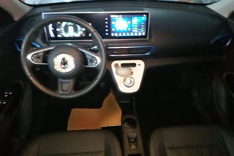 Used ORA White Cat 2020 401 km Long-Range Version Center Console