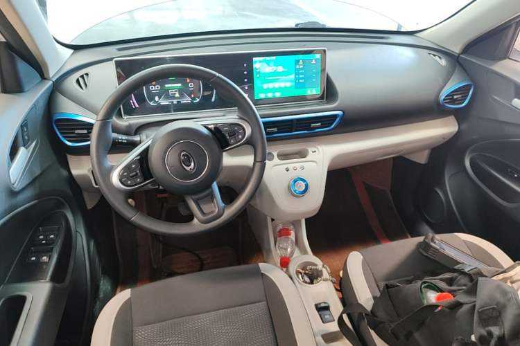 Used ORA White Cat 2020 305 km Luxury Version Center Console