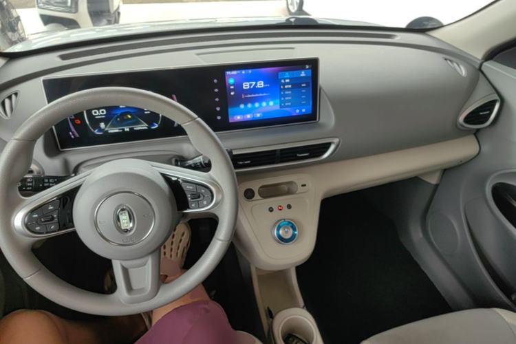 Used ORA White Cat 2020 305 km Luxury Version Center Console