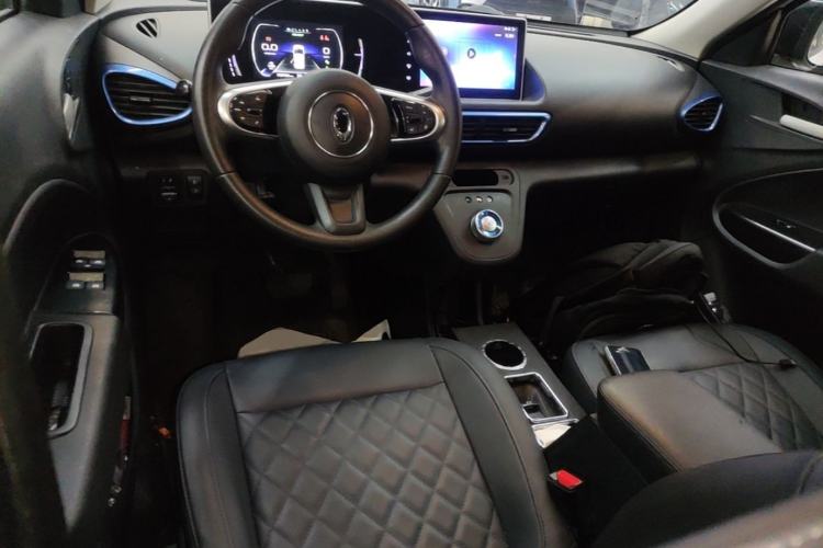Used ORA White Cat 2020 401 km Long-Range Version Center Console