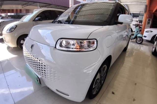 Used ORA White Cat 2020 305 km Luxury Version
