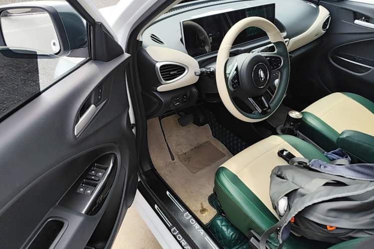 Used ORA White Cat 2020 305 km Luxury Version Driver Seat
