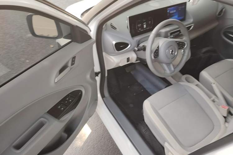 Used ORA White Cat 2020 360km Standard Version Driver Seat