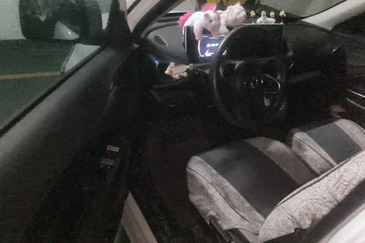 Used ORA White Cat 2020 305 km Luxury Version Driver Seat