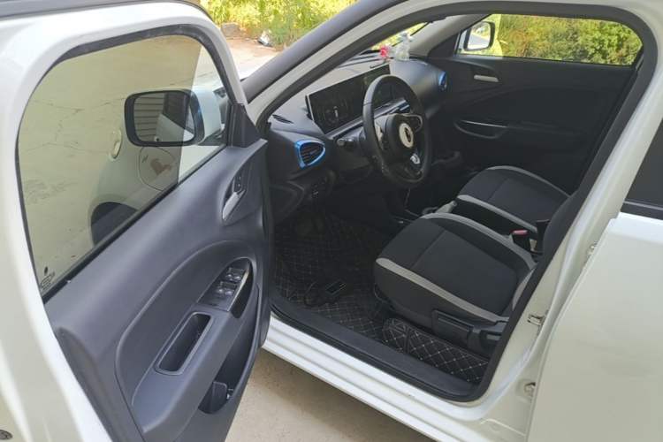 Used ORA White Cat 2020 305 km Luxury Version Driver Seat