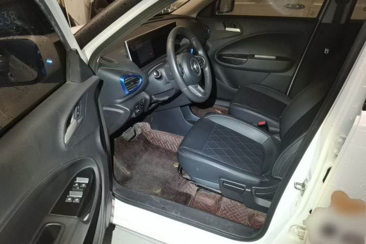 Used ORA White Cat 2020 305 km Luxury Version Driver Seat