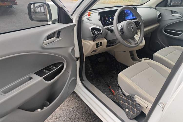 Used ORA White Cat 2020 305 km Luxury Version Driver Seat