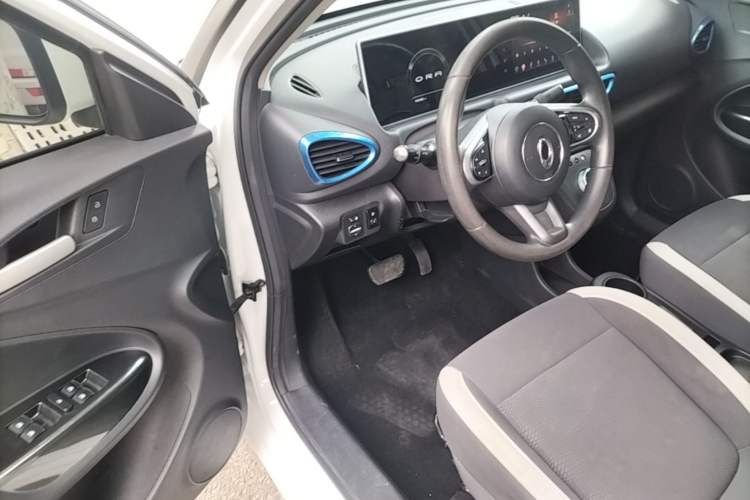 Used ORA White Cat 2020 360 km Luxury Version Driver Seat