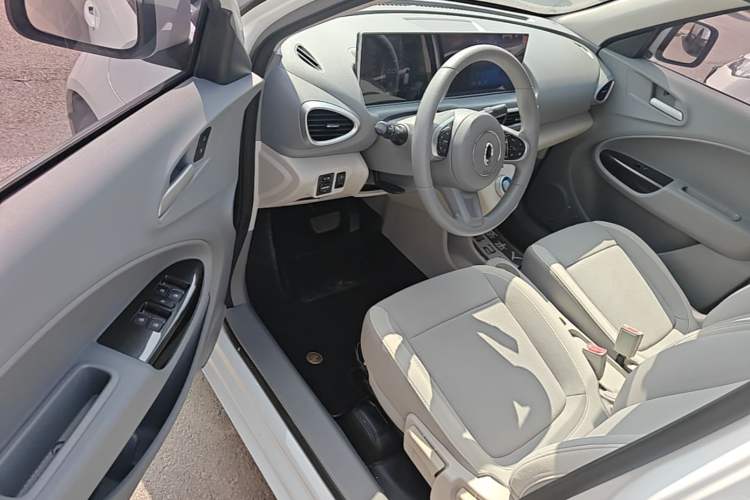 Used ORA White Cat 2020 305 km Luxury Version Driver Seat