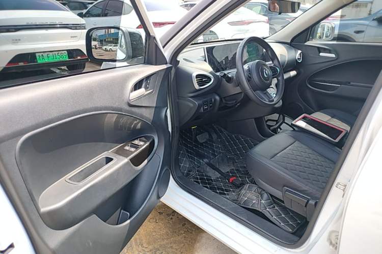 Used ORA White Cat 2020 401 km Long-Range Version Driver Seat