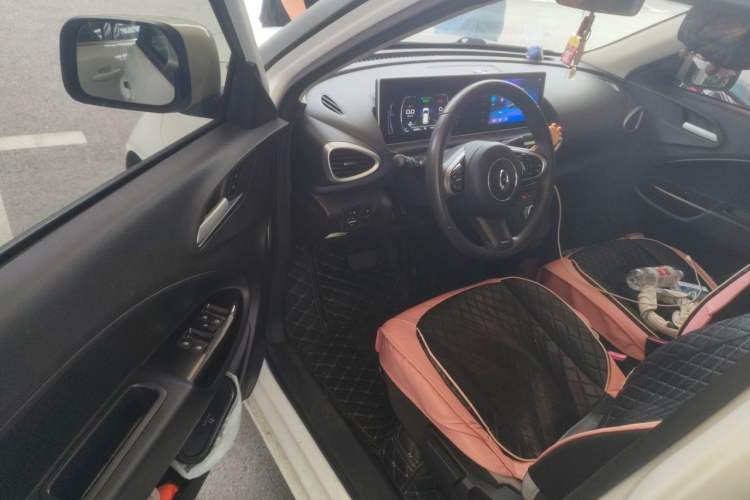 Used ORA White Cat 2020 305 km Luxury Version Driver Seat
