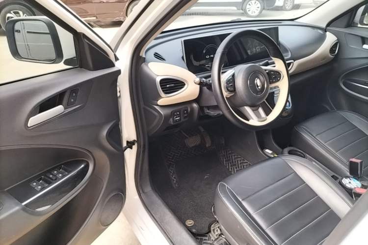 Used ORA White Cat 2020 305 km Luxury Version Driver Seat