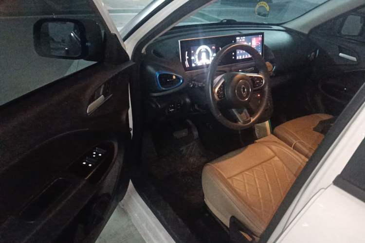 Used ORA White Cat 2020 305 km Luxury Version Driver Seat