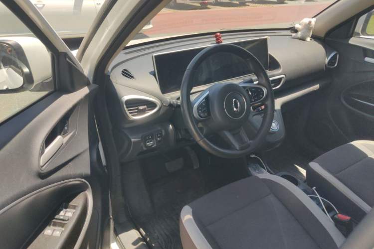 Used ORA White Cat 2020 360 km Luxury Version Driver Seat