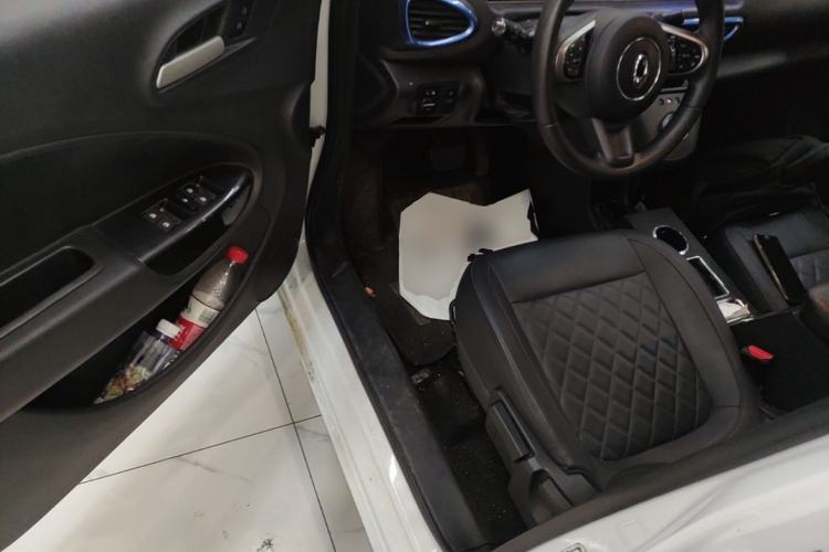Used ORA White Cat 2020 401 km Long-Range Version Driver Seat
