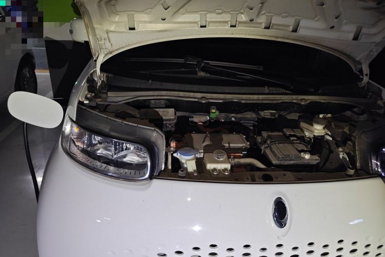 Used ORA White Cat 2020 305 km Luxury Version Engine Bay Right