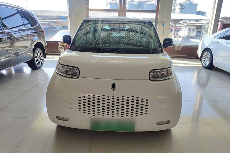 Used ORA White Cat 2020 401 km Flagship Version Exterior 1