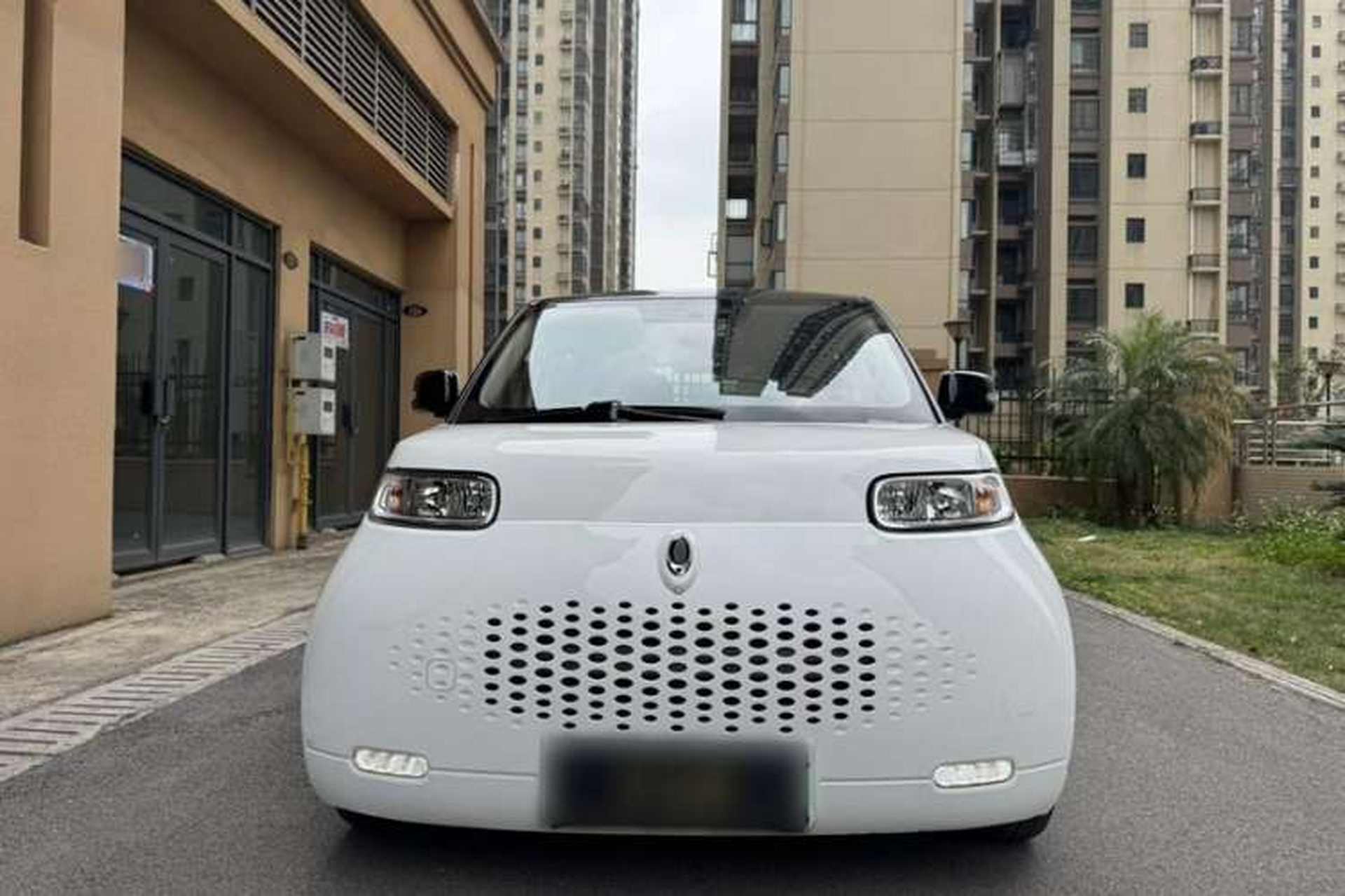 Used ORA White Cat 2020 401 km Long-Range Version Exterior 1