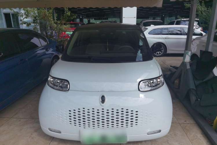 Used ORA White Cat 2020 401 km Flagship Version Exterior 1
