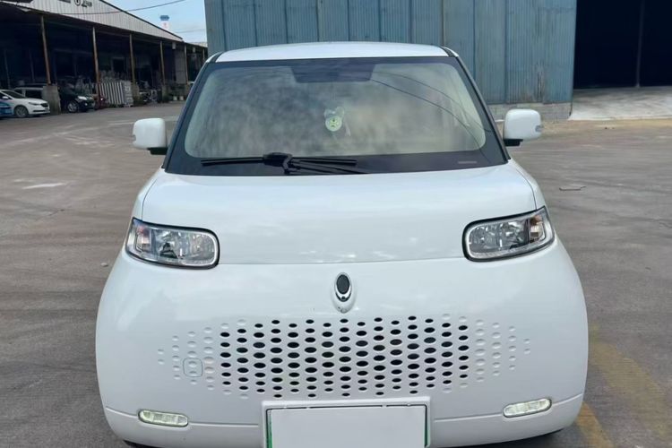 Used ORA White Cat 2020 305 km Luxury Version Exterior 1